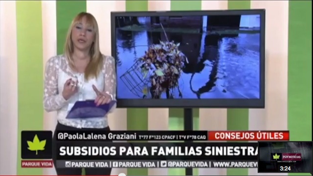 familias siniestradas