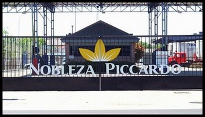 Nobleza-Piccardo