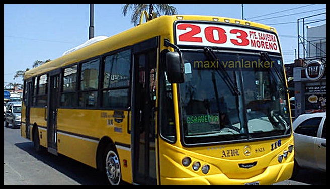 Linea 203