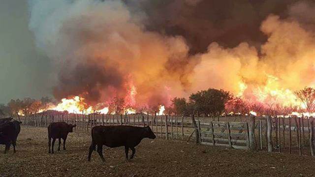incendios en Mendoza