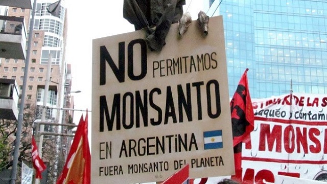 Ley-Semillas-Monsanto-680x365