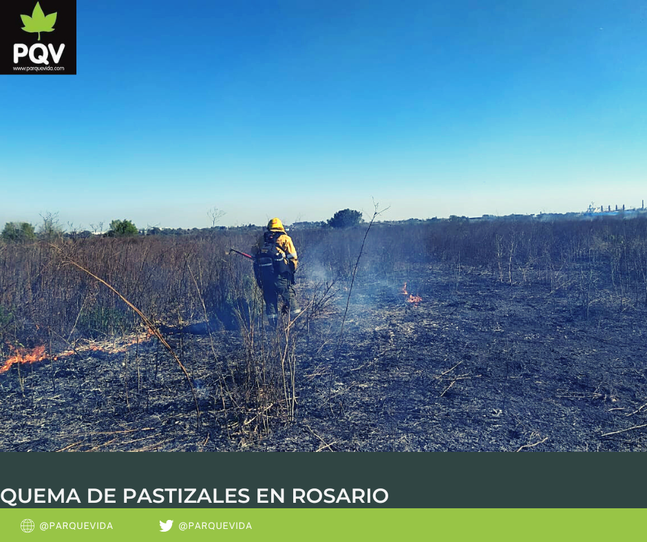 Verde y Blanco Noticias de Última Hora Publicación de Facebook